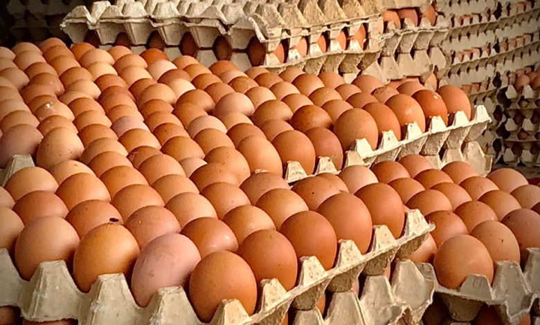 TELUR